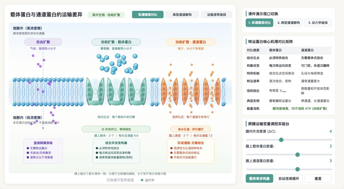 载体蛋白与通道蛋白的运输差异