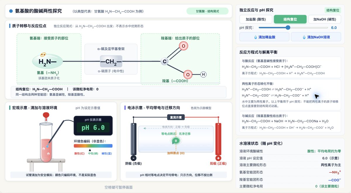 氨基酸的酸碱两性