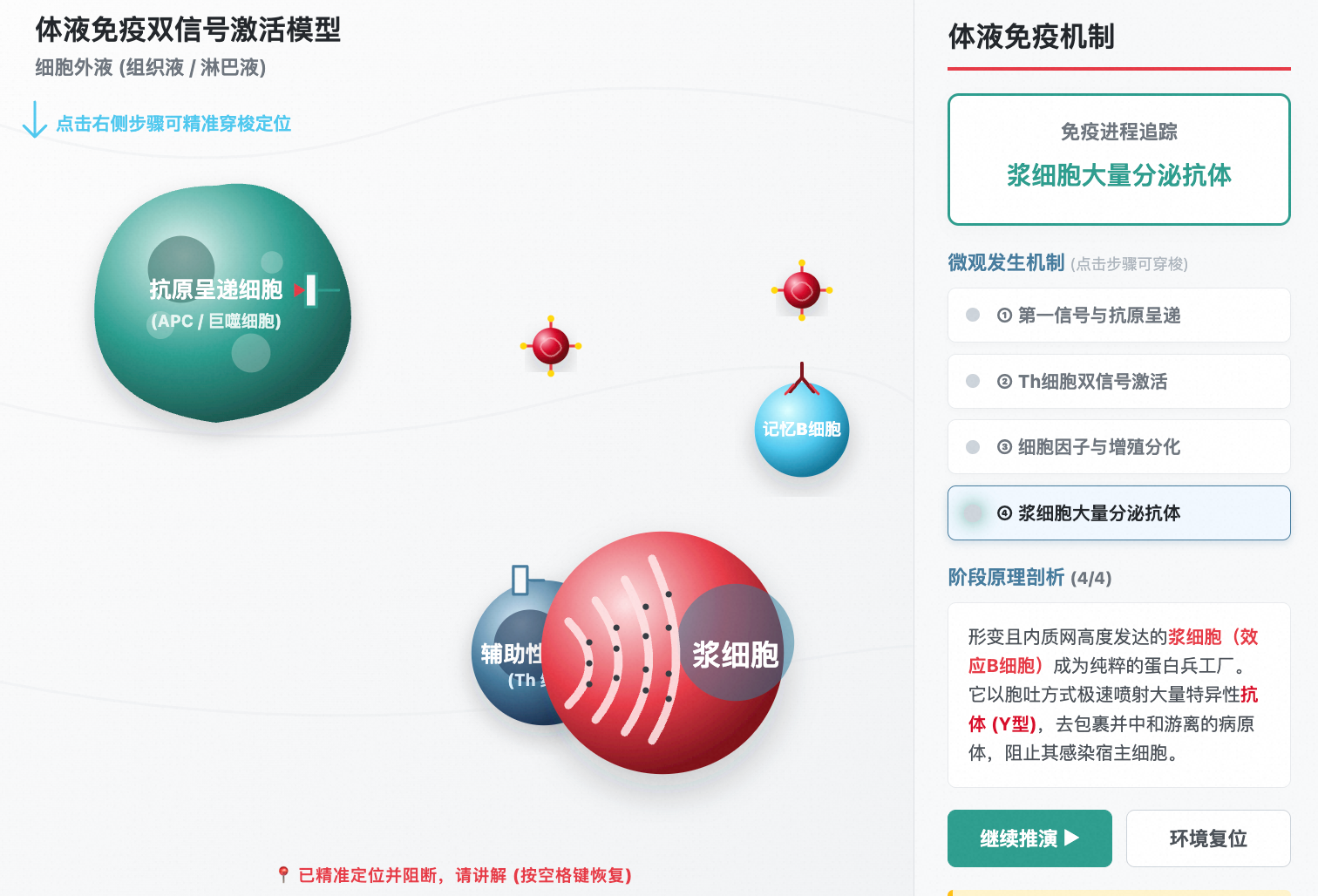 体液免疫微观细胞识别机制