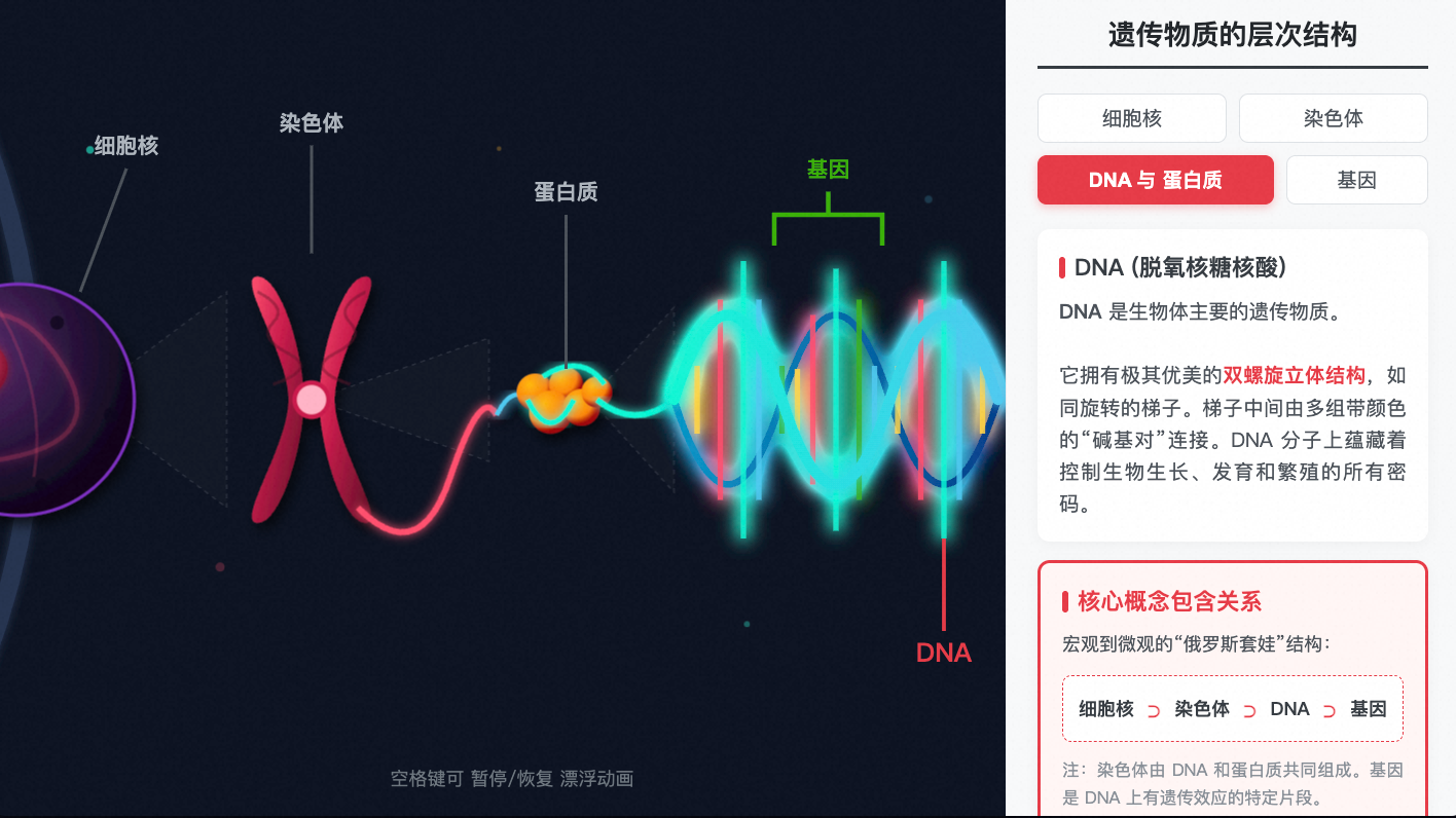 遗传物质的层次结构