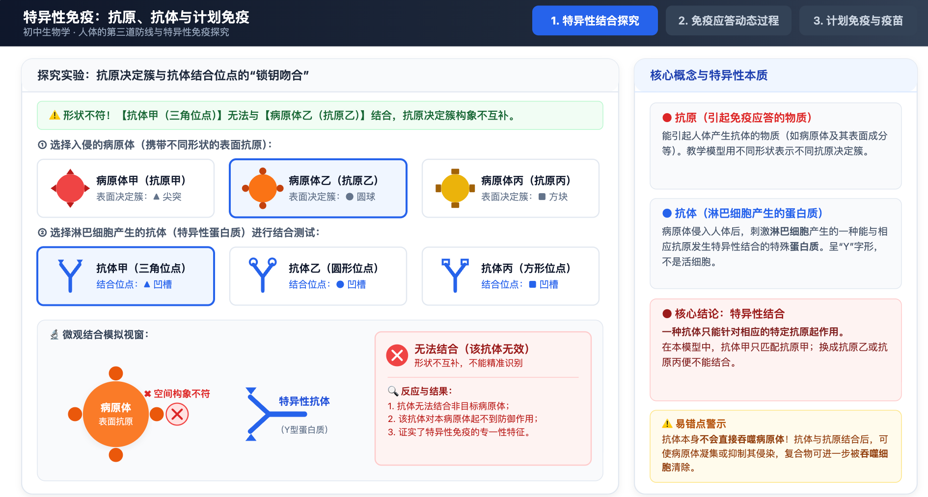 特异性免疫:抗原、抗体与计划免疫