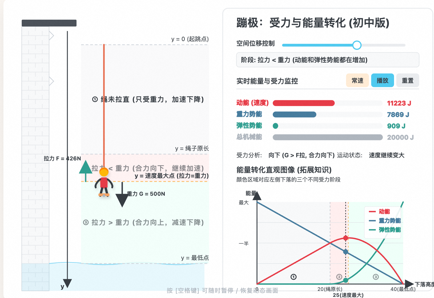 蹦极运动:能量转化与受力分析