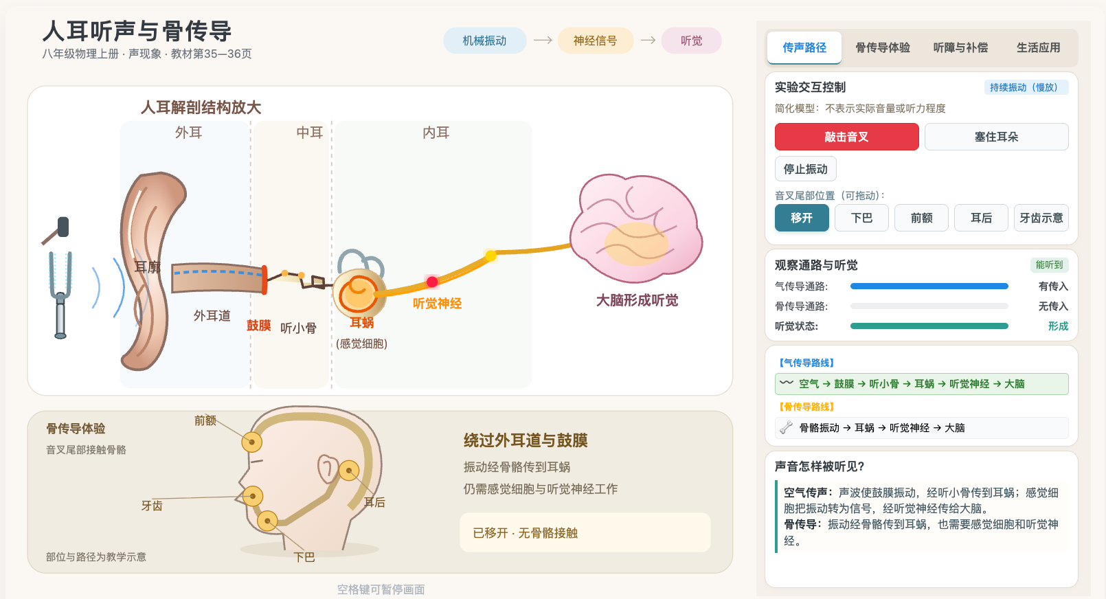 人耳听声与骨传导