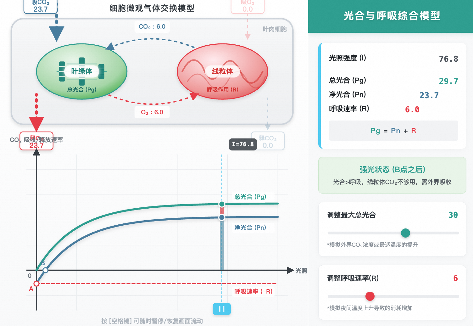 生物光合与呼吸综合曲线