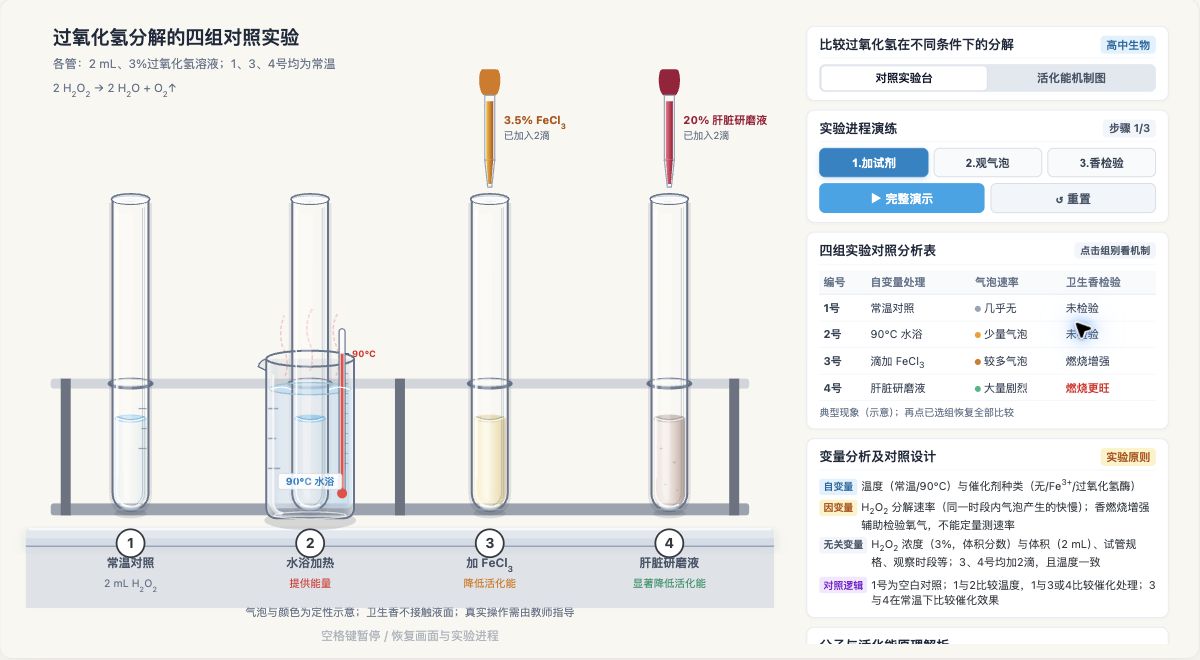 过氧化氢分解的四组对照实验