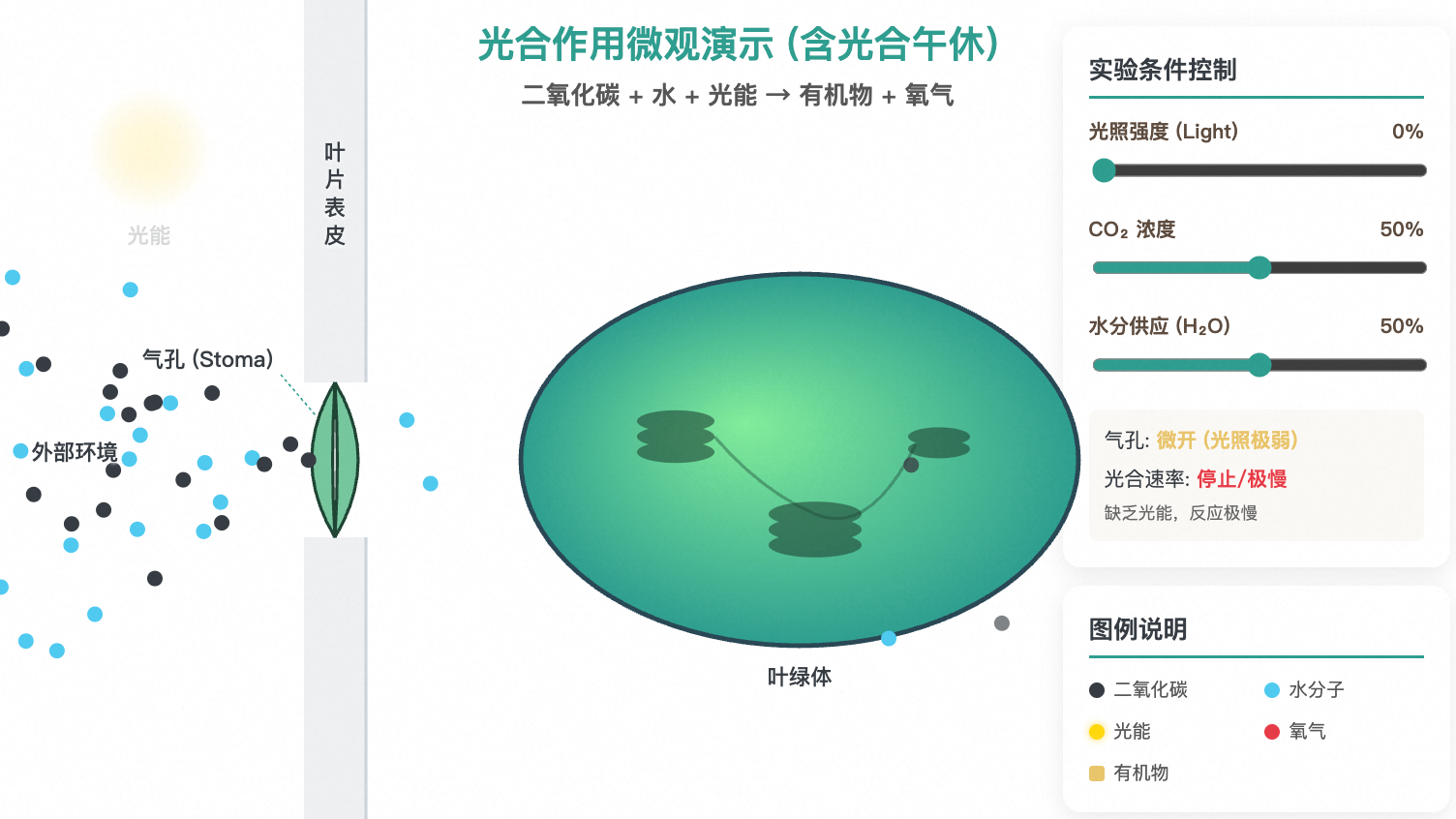 光合作用微观演示