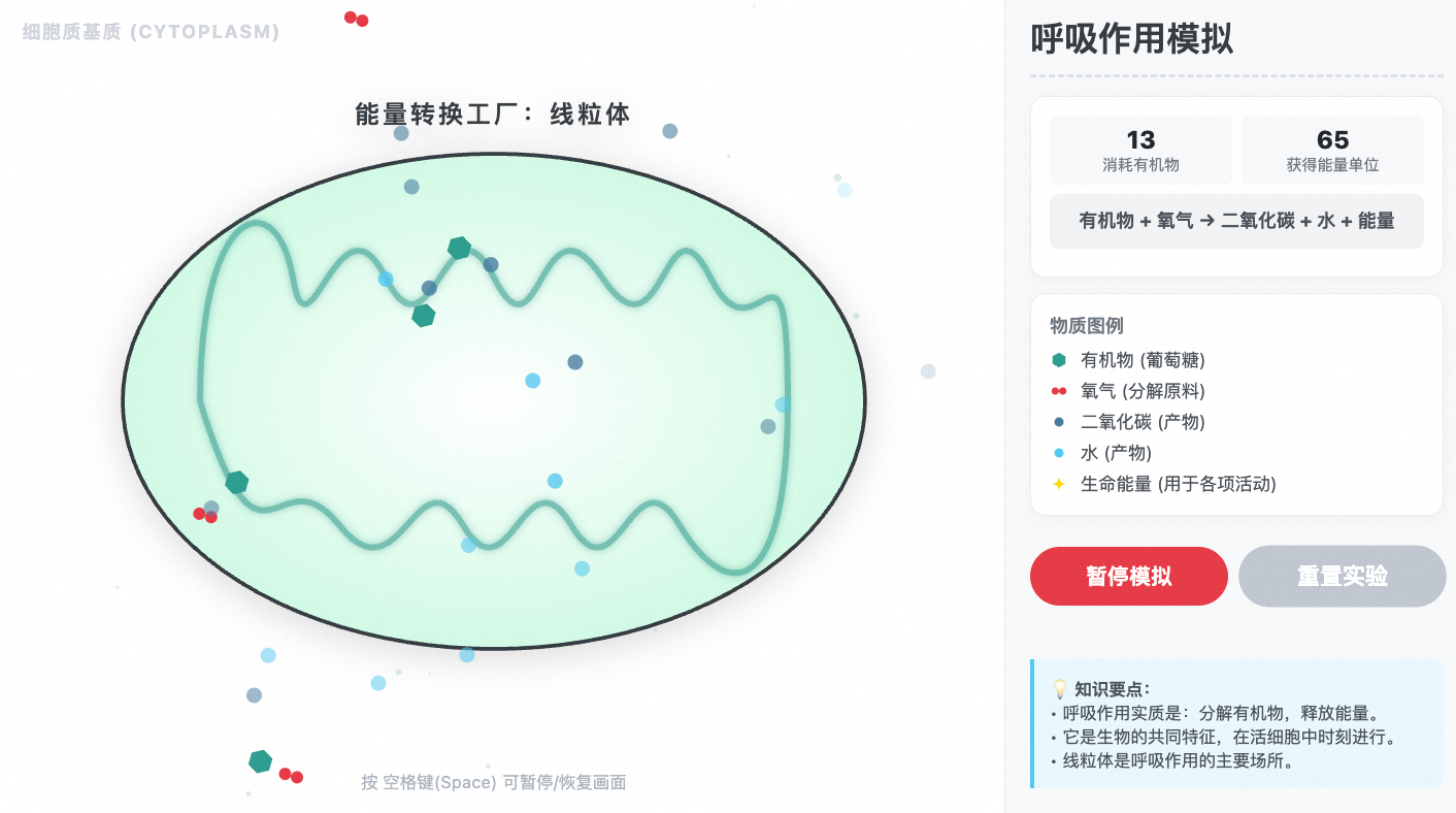 呼吸作用