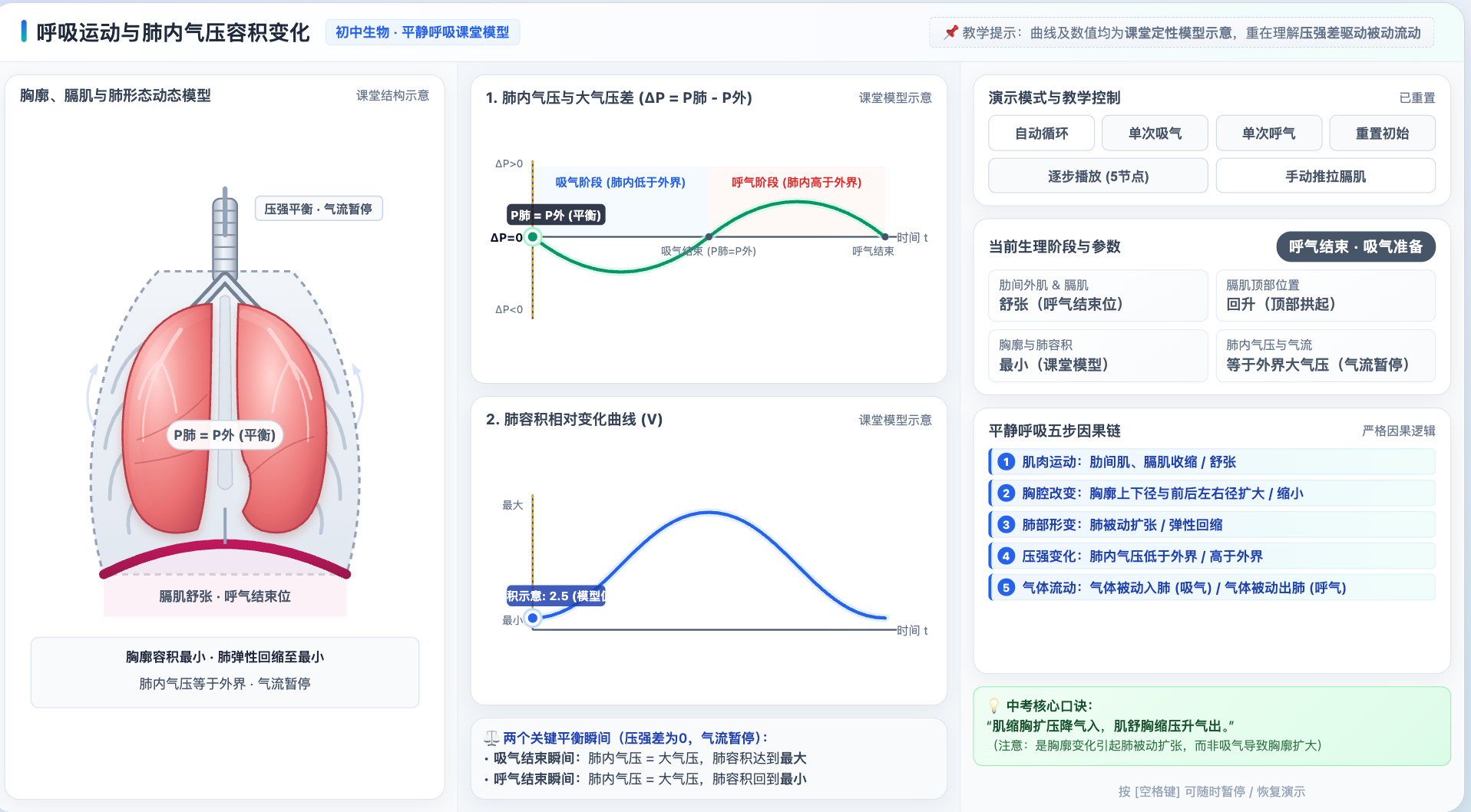 呼吸运动与肺内气压容积变化