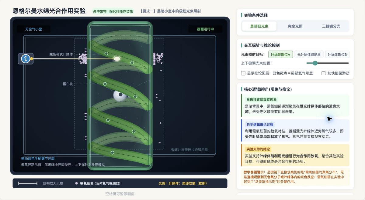 恩格尔曼水绵光合作用实验