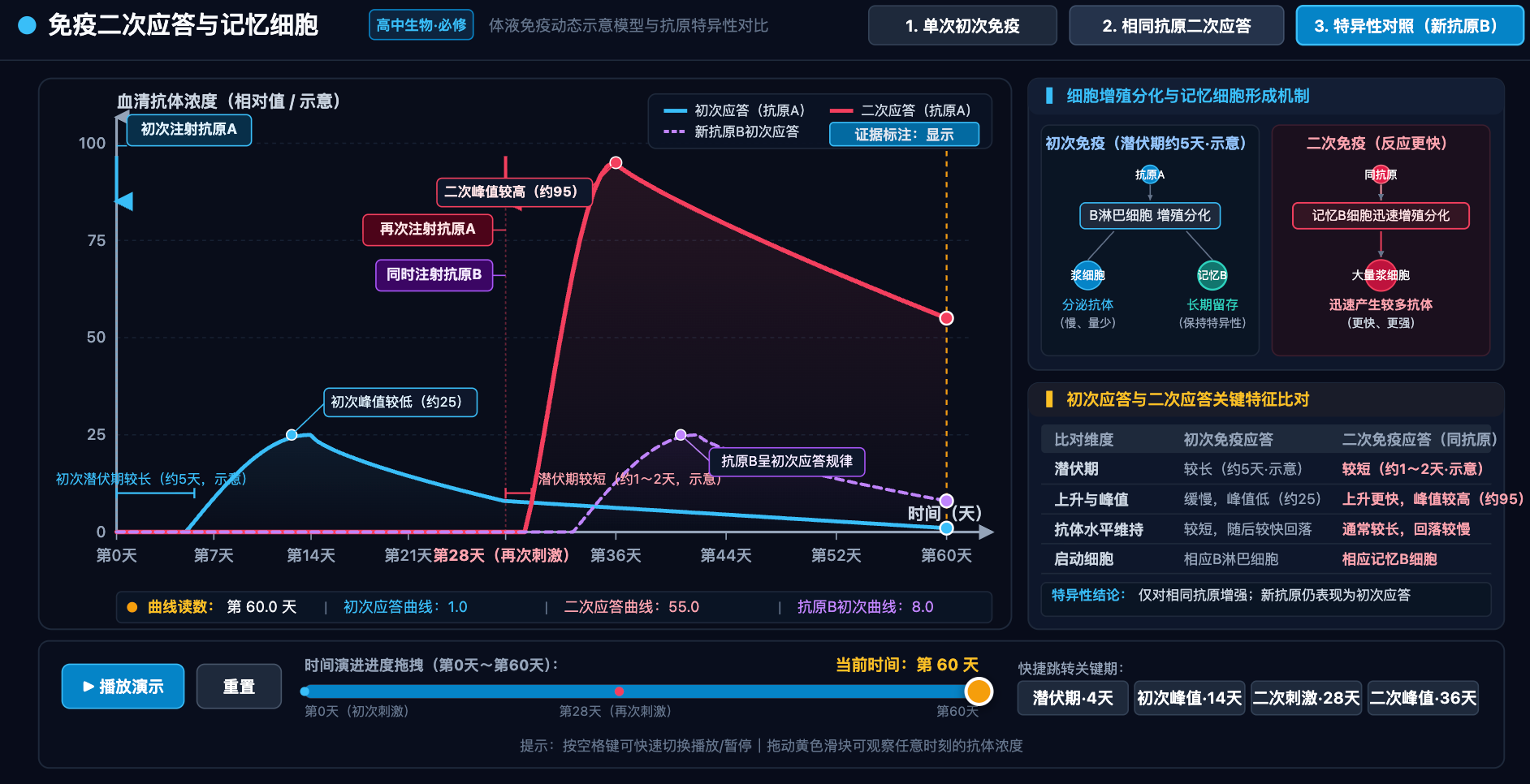免疫二次应答与记忆细胞(抗体浓度曲线)