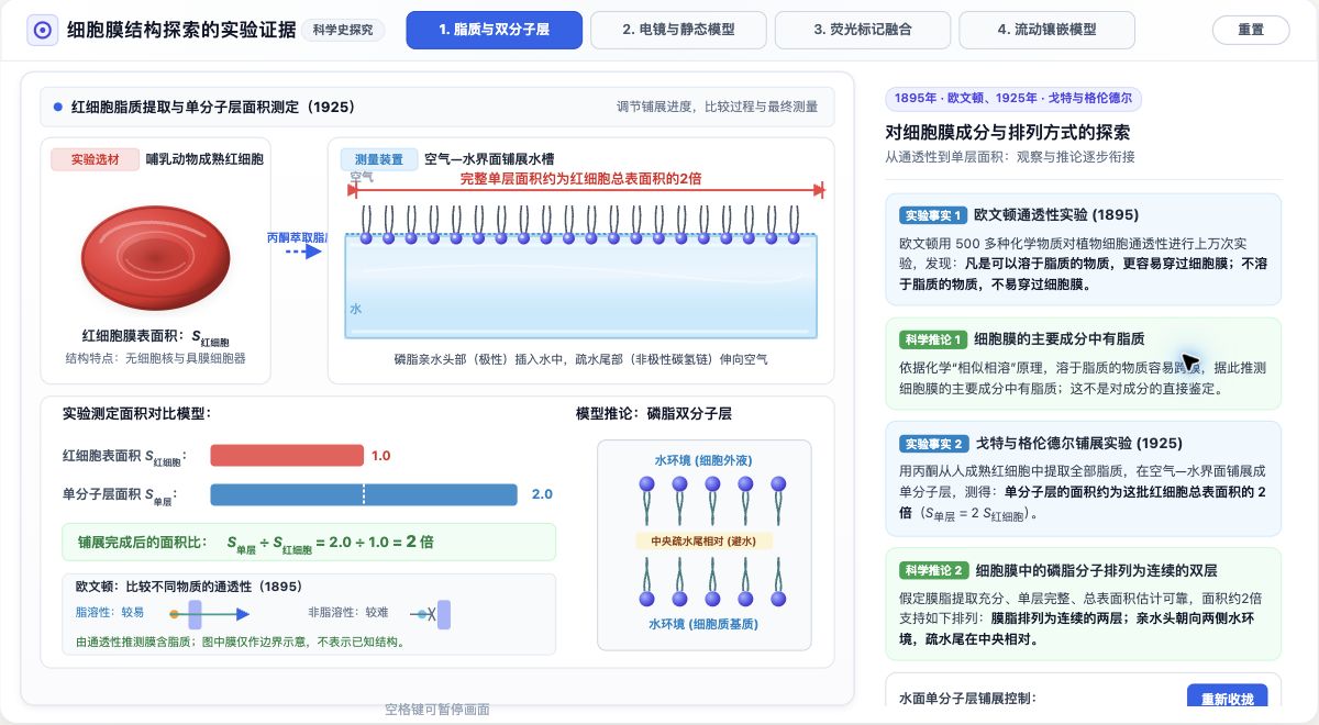 细胞膜结构探索的实验证据
