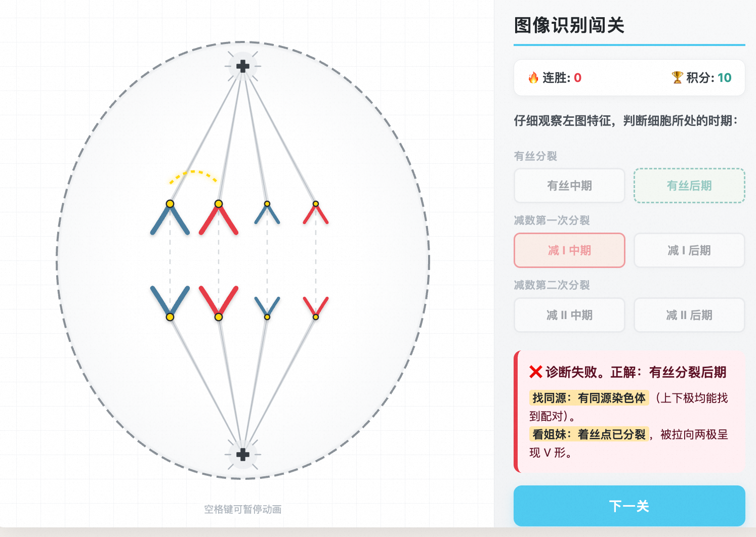 细胞分裂高拟真图像识别答题