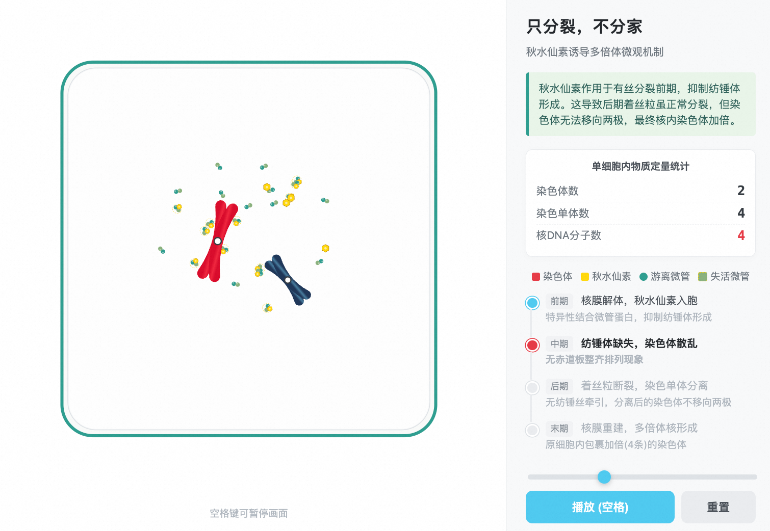 秋水仙素诱导多倍体机制
