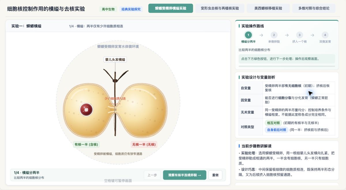 细胞核控制作用的横缢与去核实验