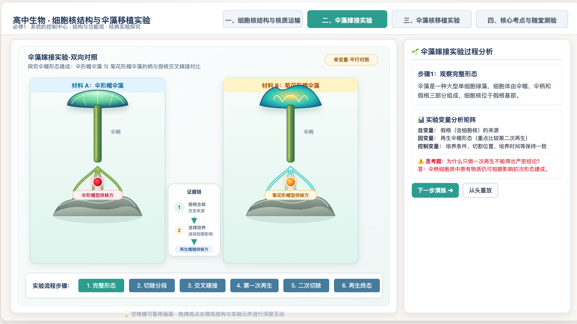 细胞核结构与伞藻移植实验
