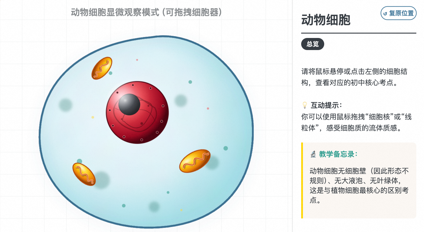动物细胞结构