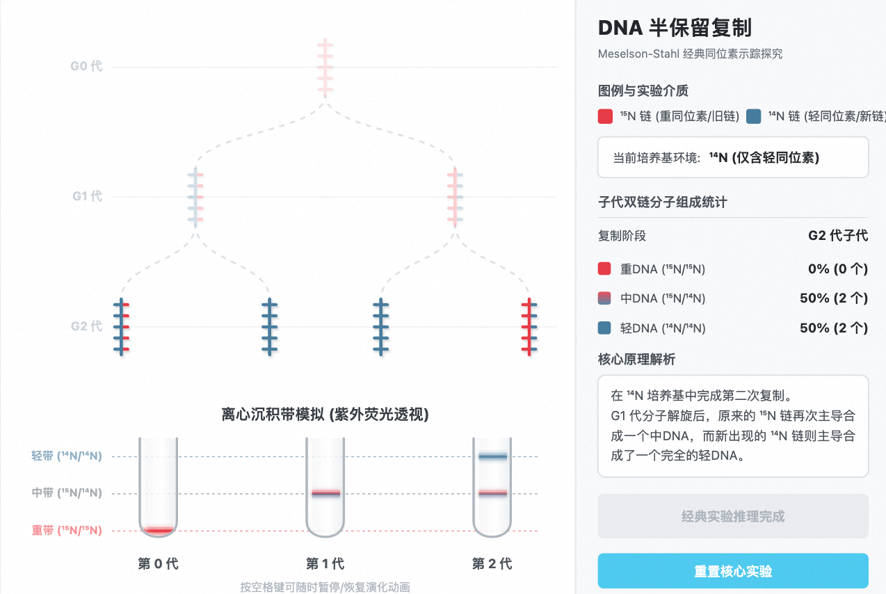 DNA 半保留复制经典实验