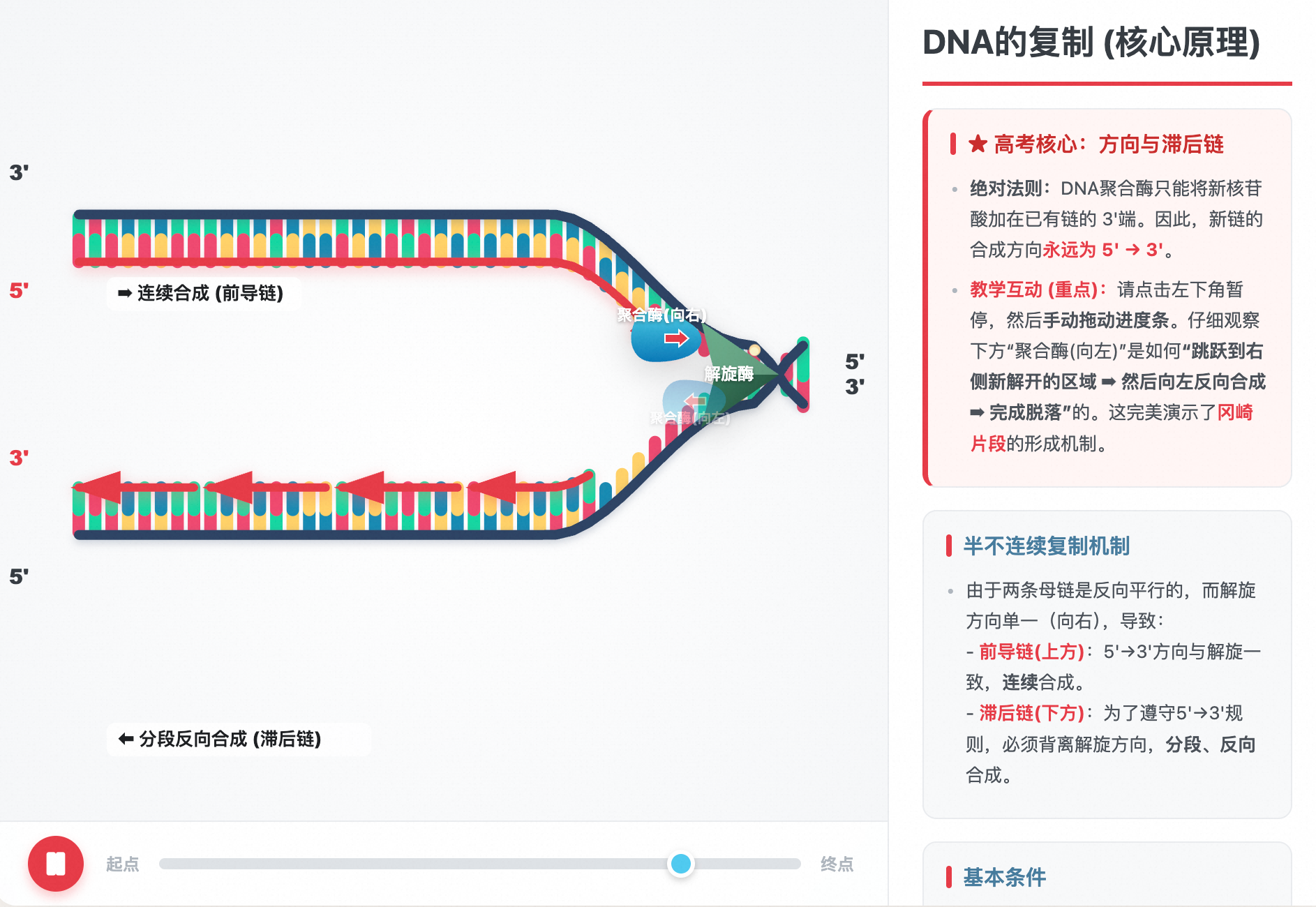 DNA的复制