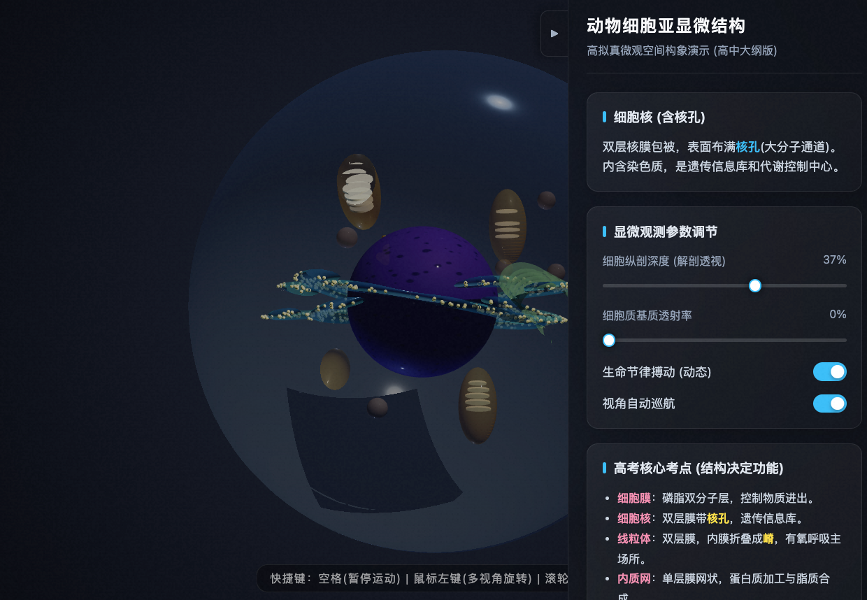 动物细胞亚显微空间结构