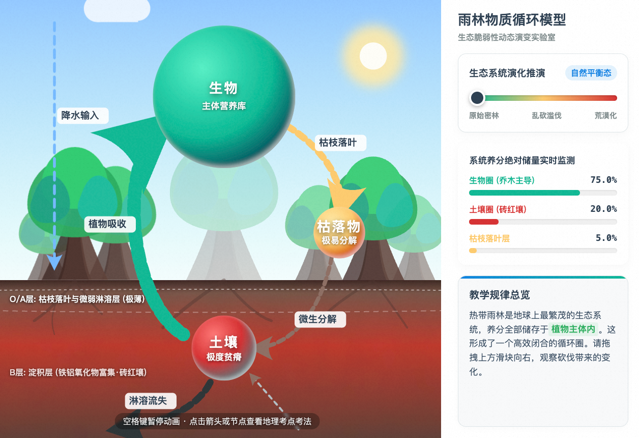 热带雨林物质循环动态演进