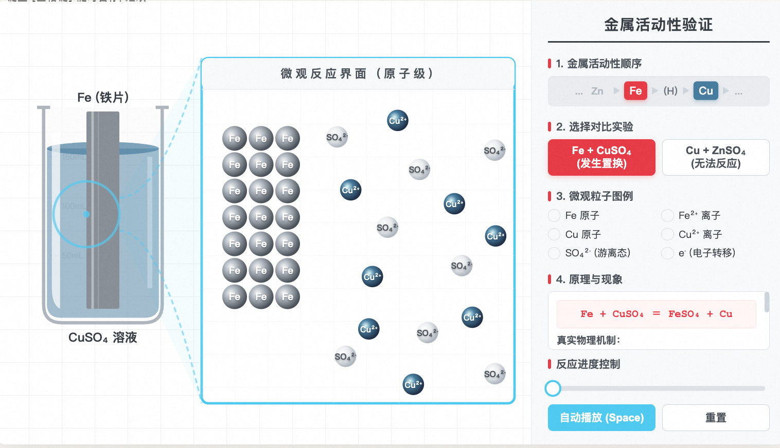 金属活动性顺序微观探秘