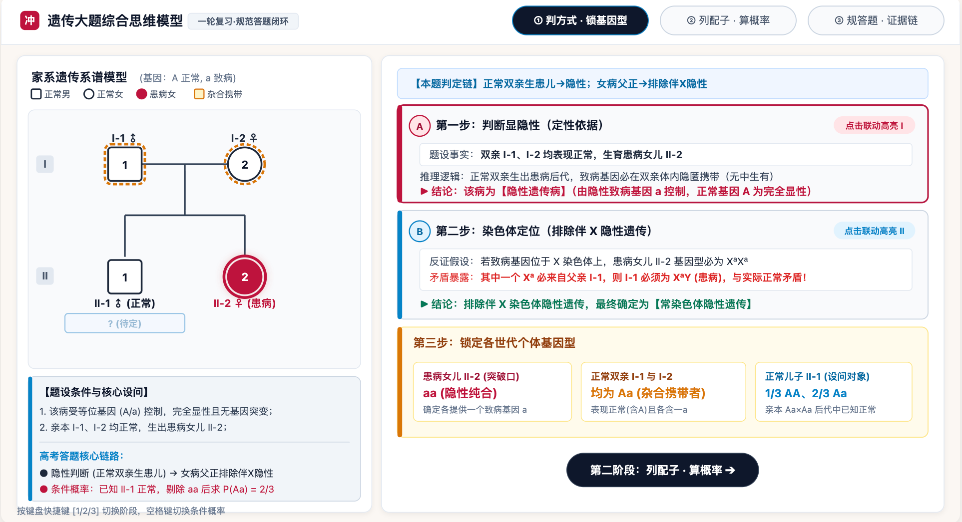 遗传大题综合模型(一轮冲刺)