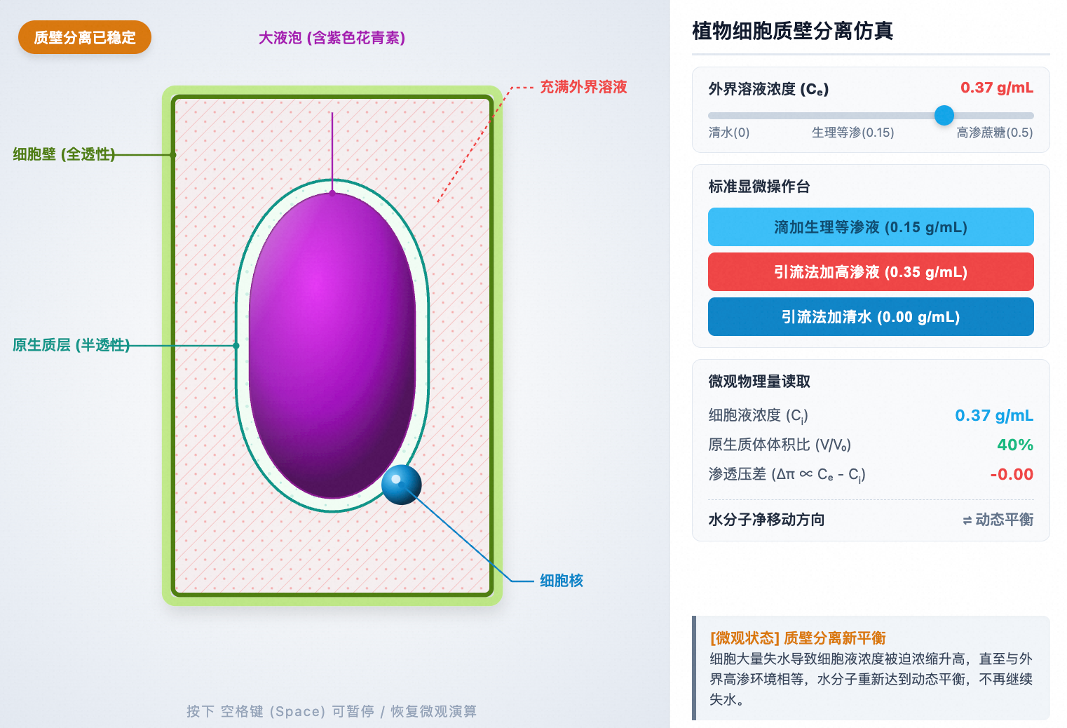 植物细胞质壁分离与复原模型