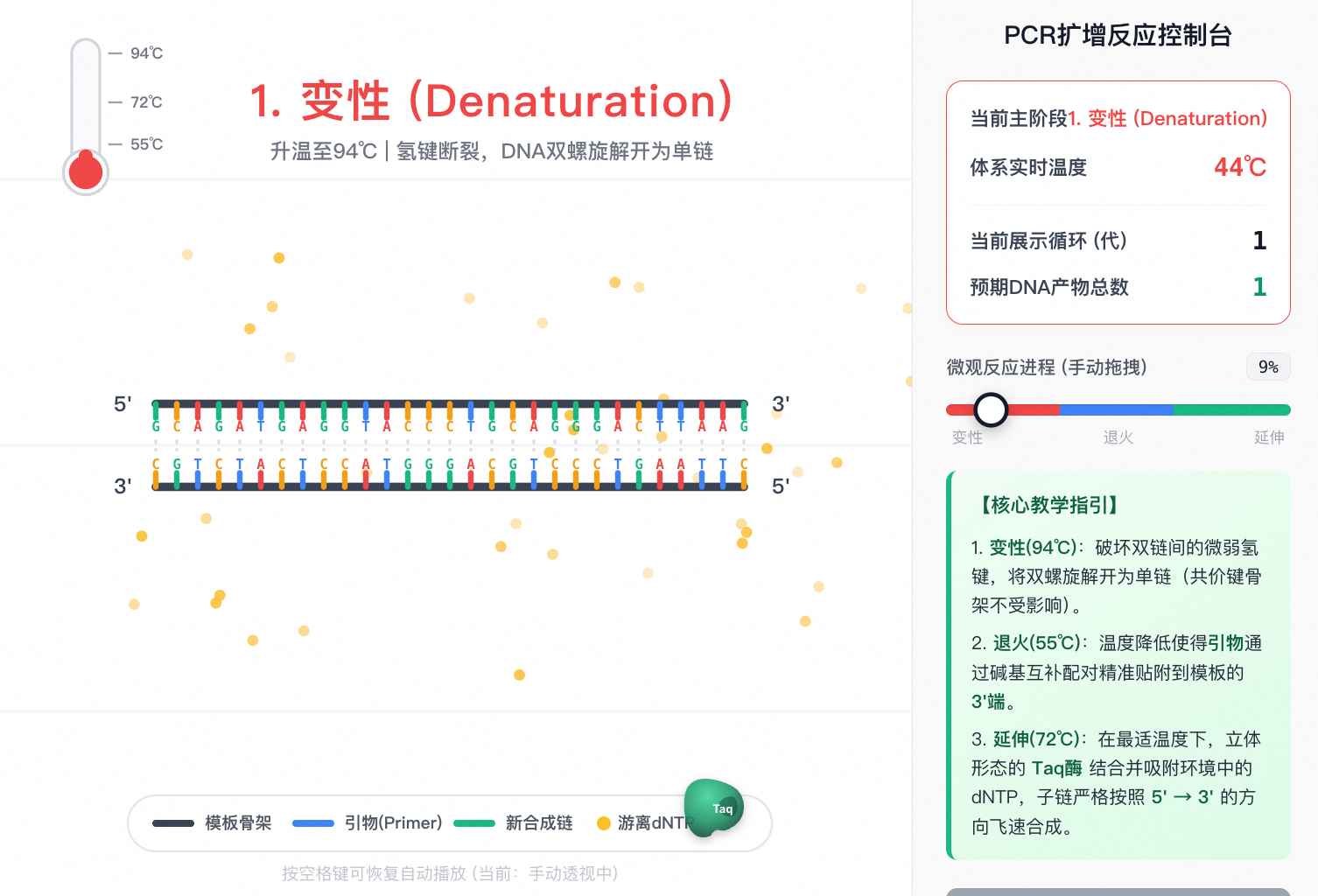 基因工程与生物技术 - PCR 扩增原理