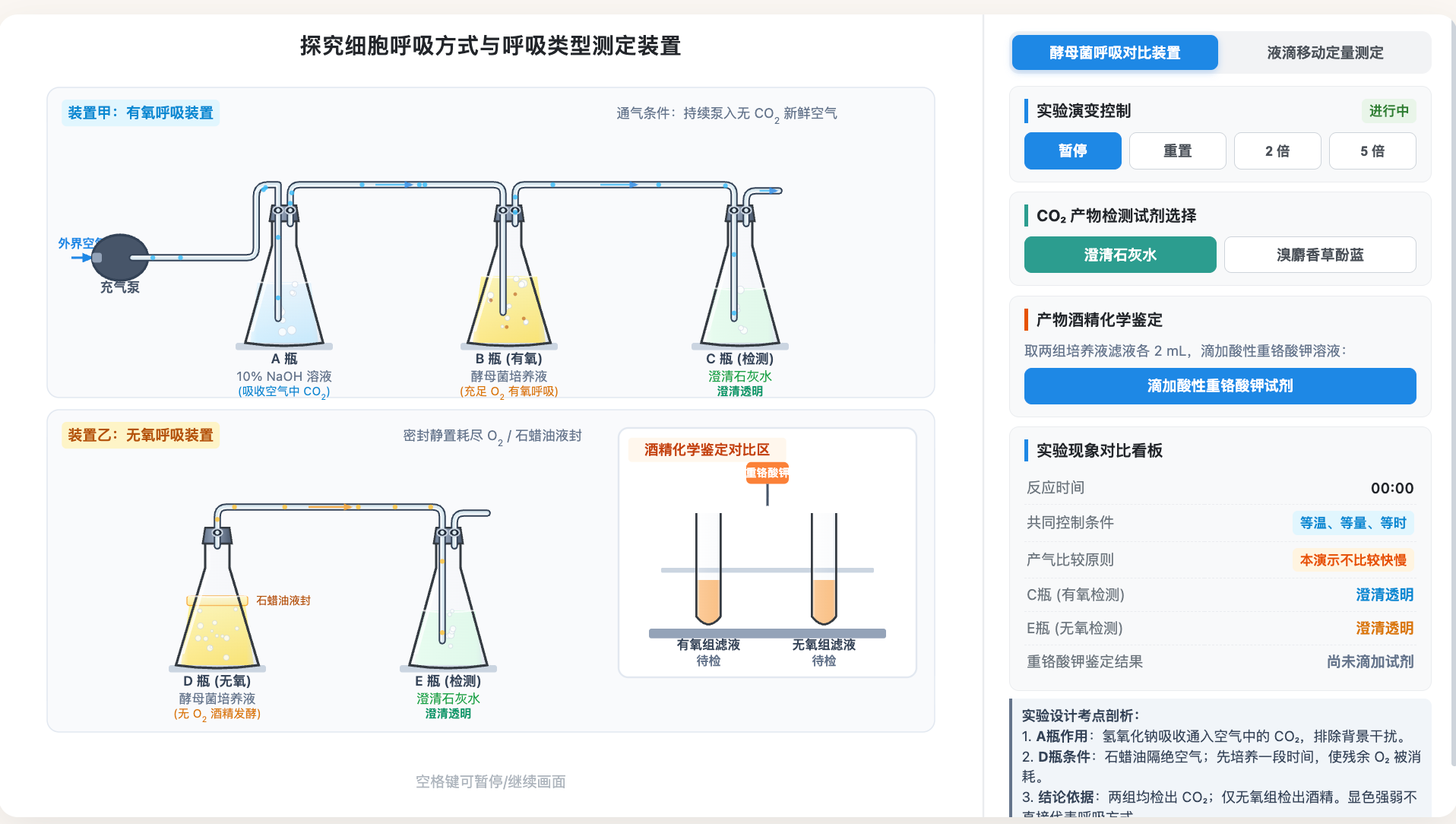有氧无氧呼吸实验装置设计