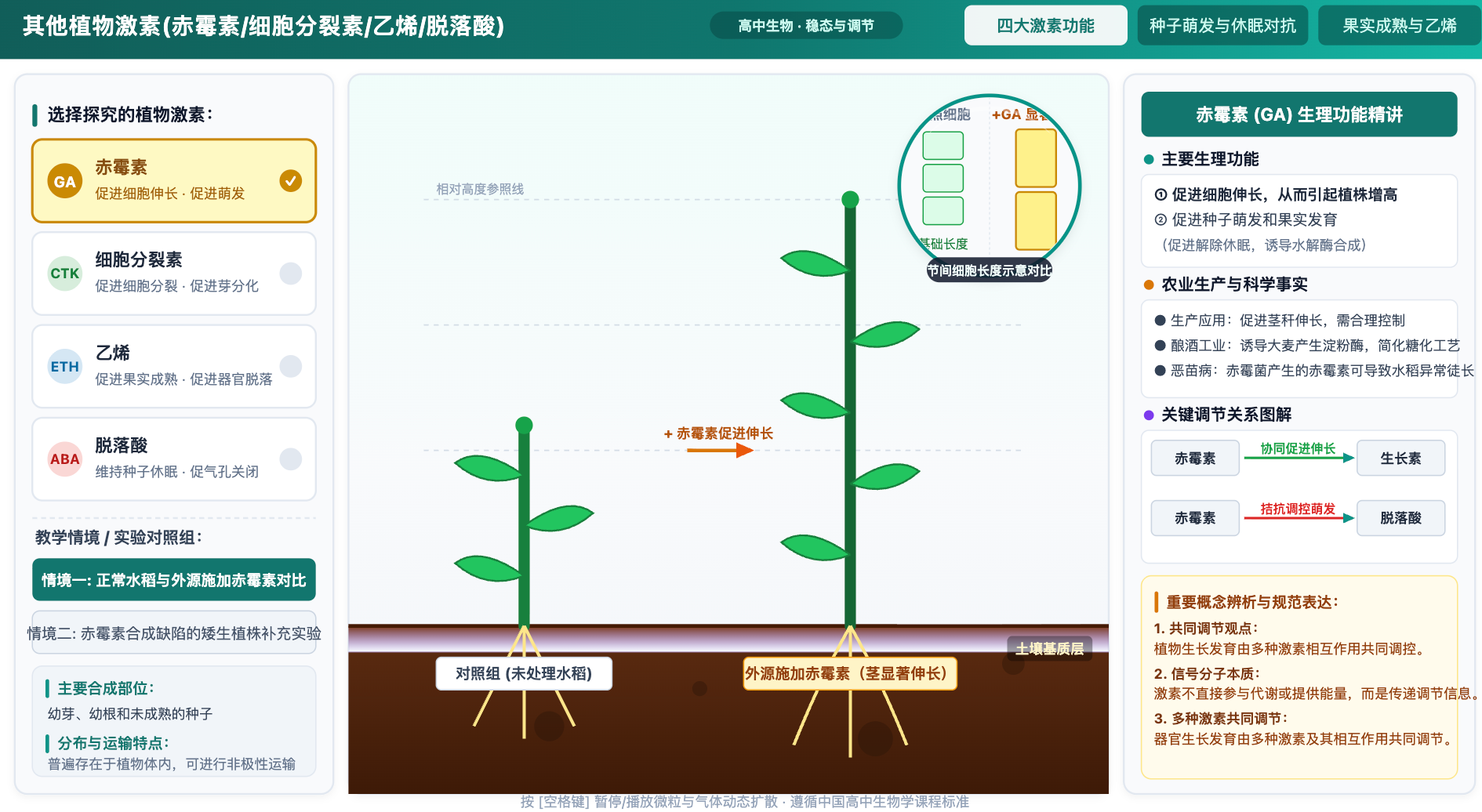 其他植物激素(赤霉素/细胞分裂素/乙烯/脱落酸)