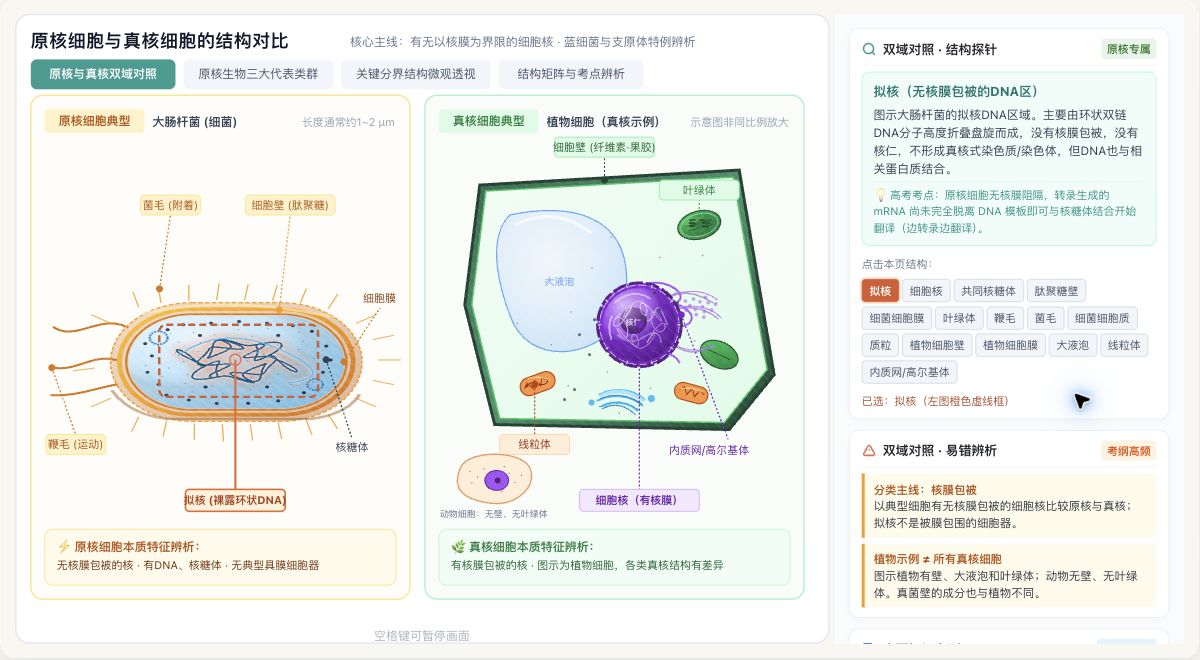 原核细胞与真核细胞的结构对比