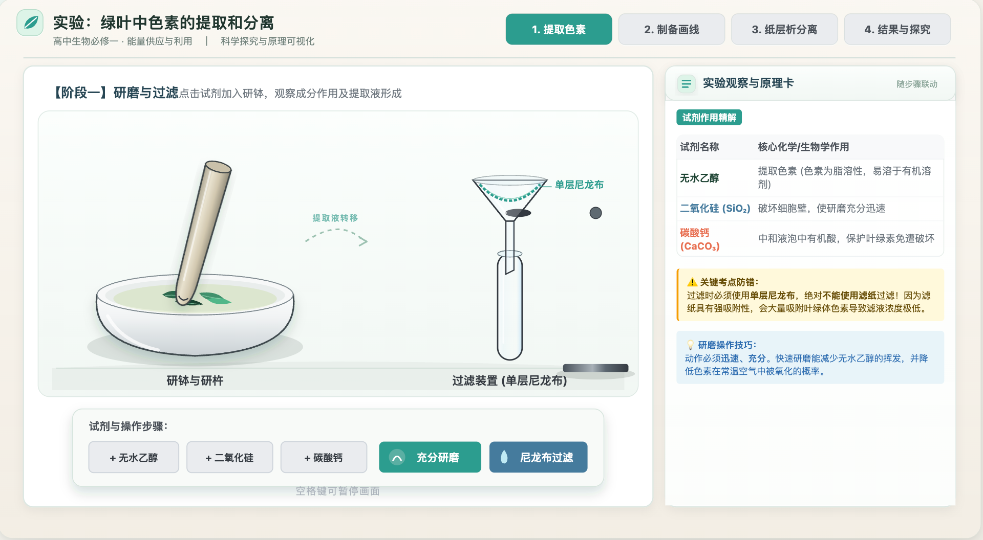 光合色素提取与分离实验