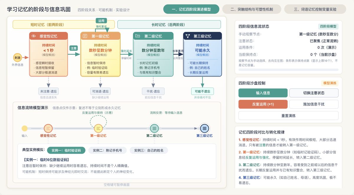 学习记忆的阶段与信息巩固
