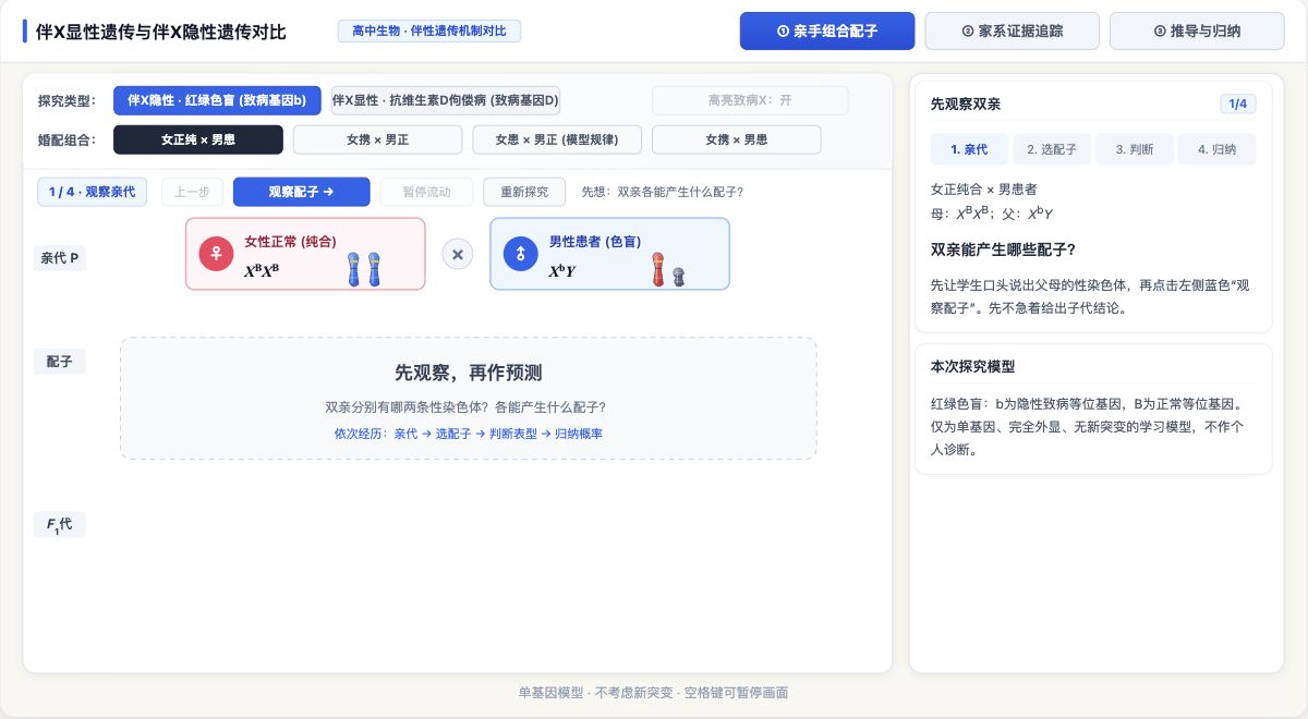 伴X显性遗传与伴X隐性遗传对比