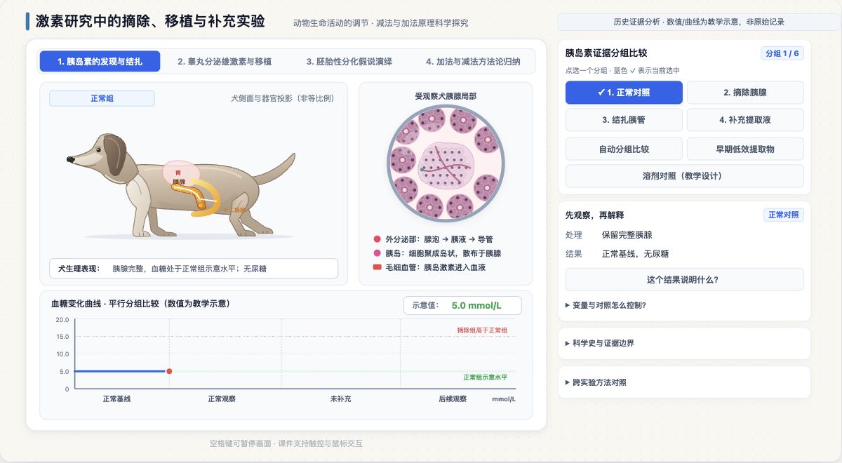 激素研究中的摘除移植与补充实验
