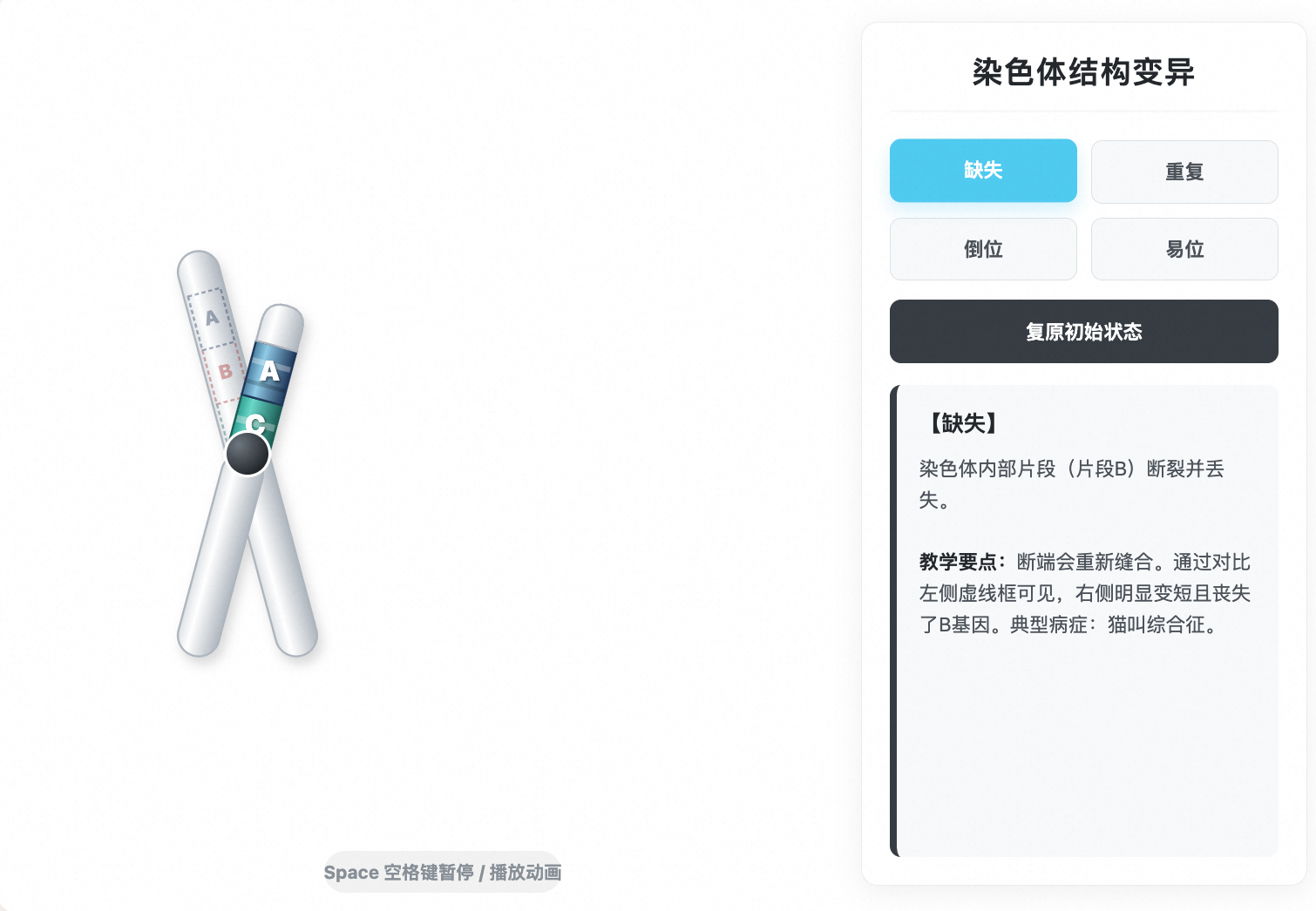 染色体结构变异