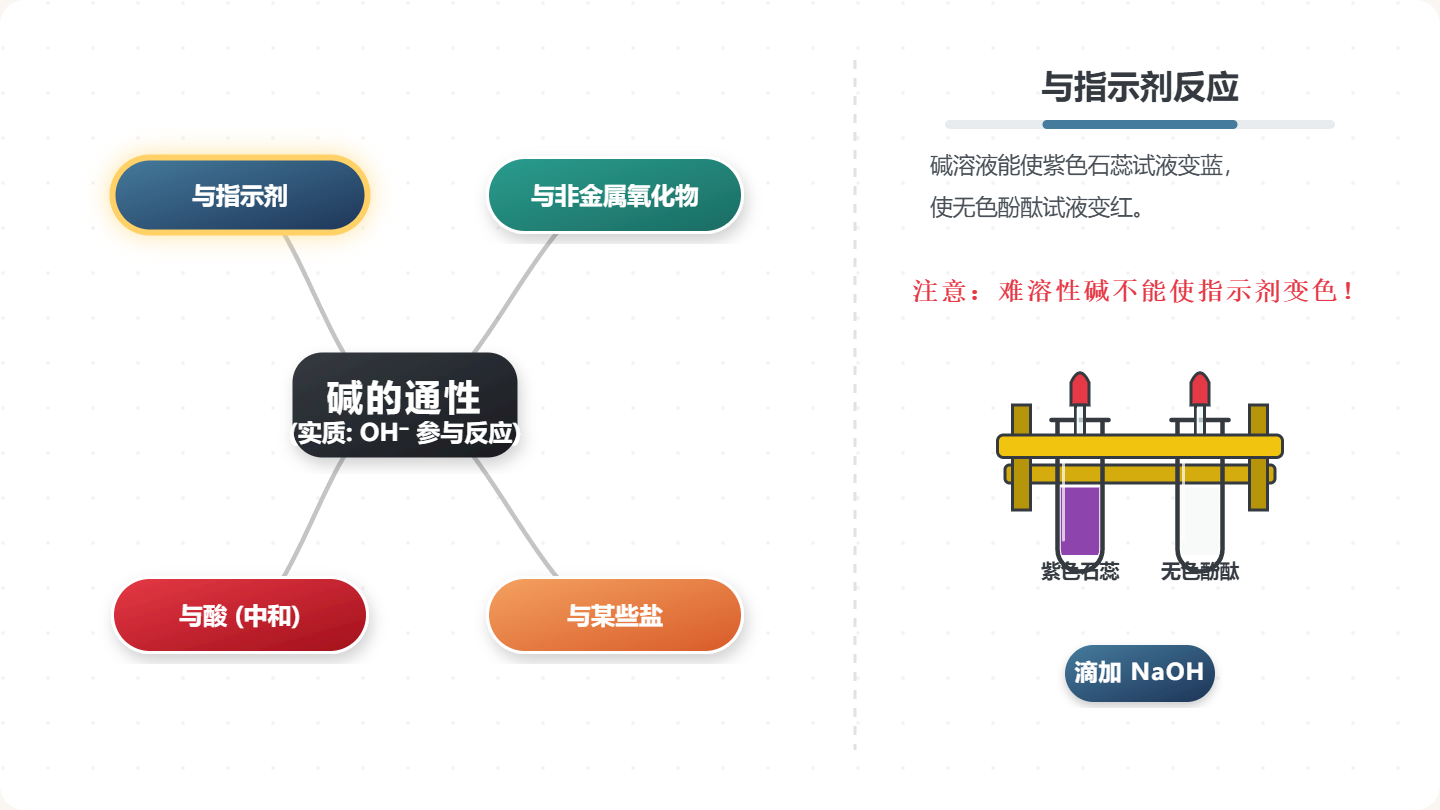 碱的通性