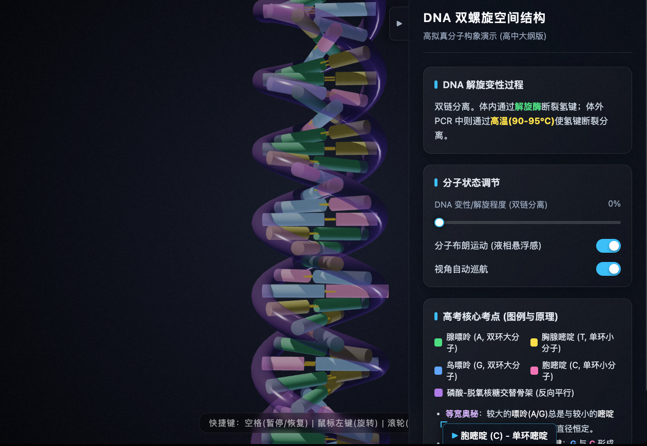 DNA双螺旋空间结构