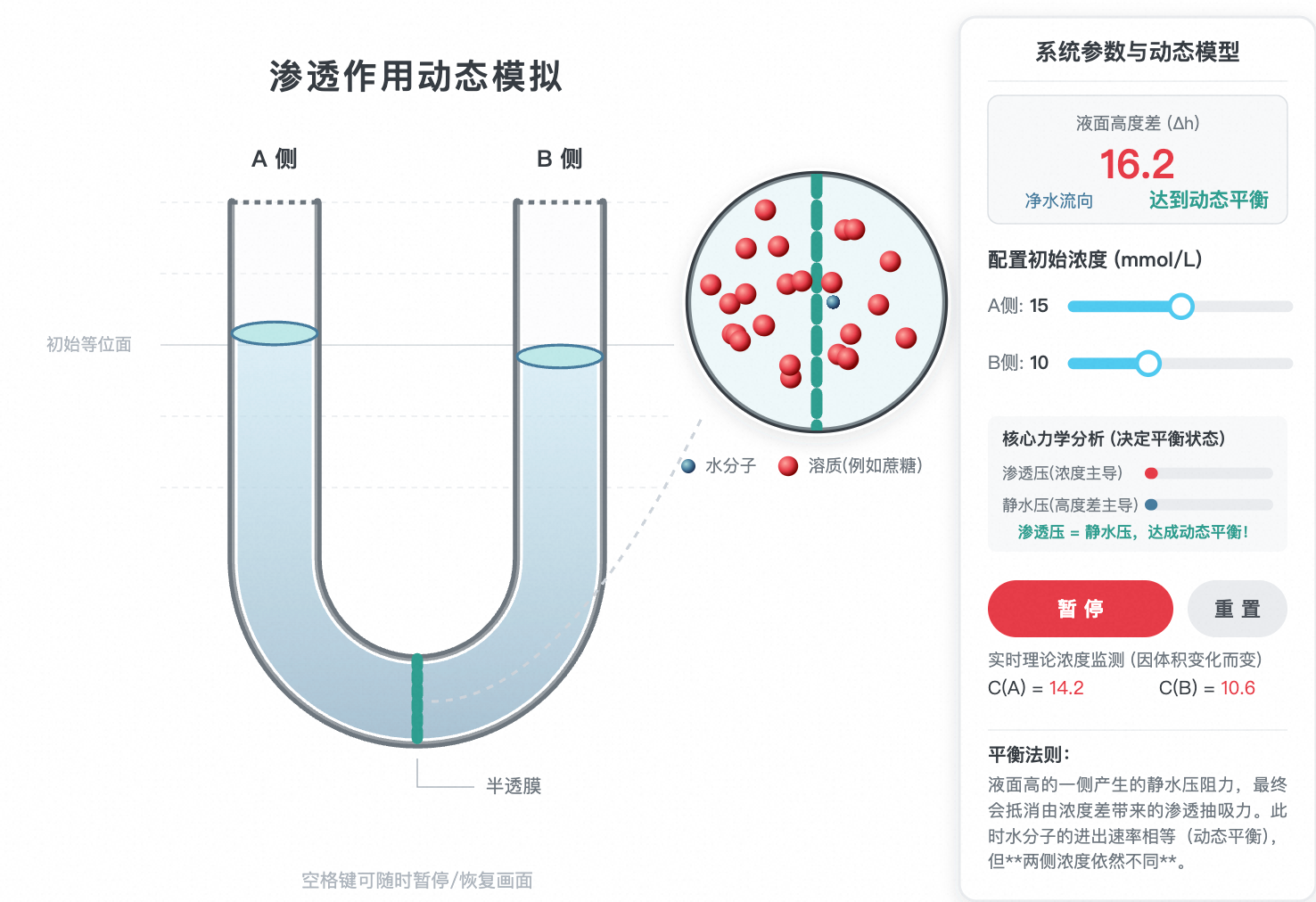渗透作用与液面变化