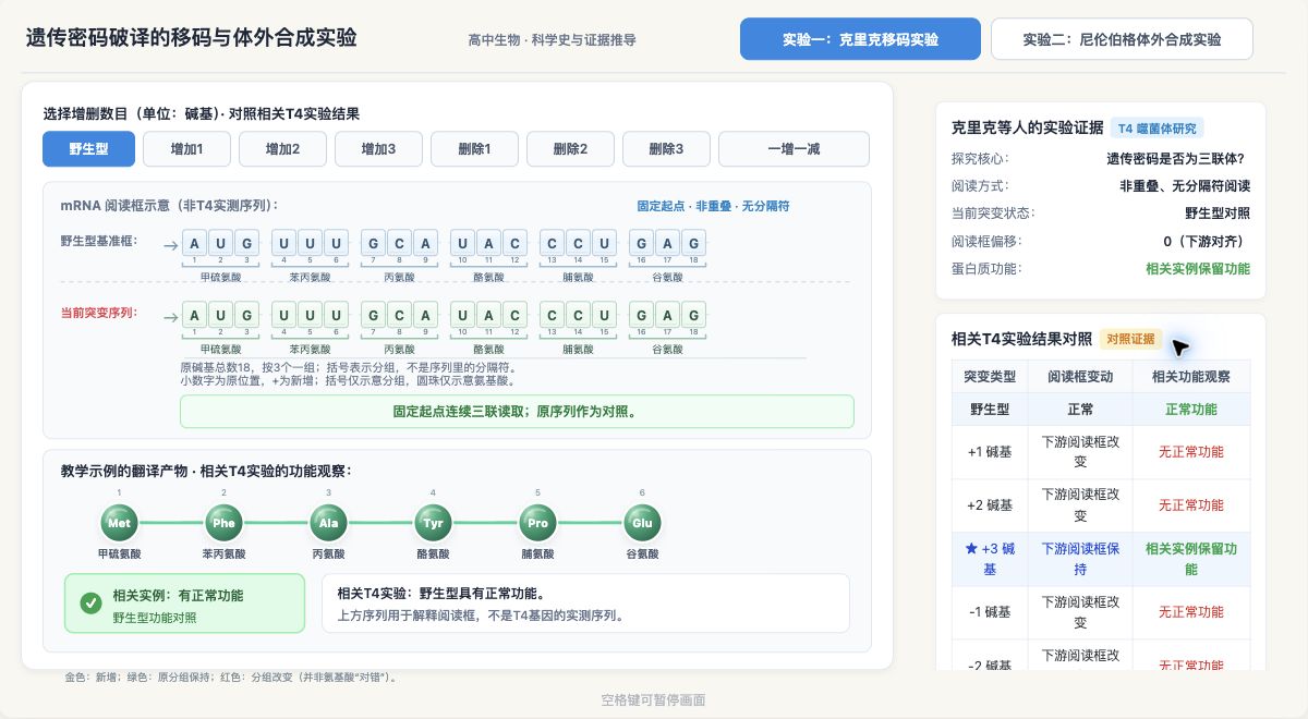 遗传密码破译的移码与体外合成实验