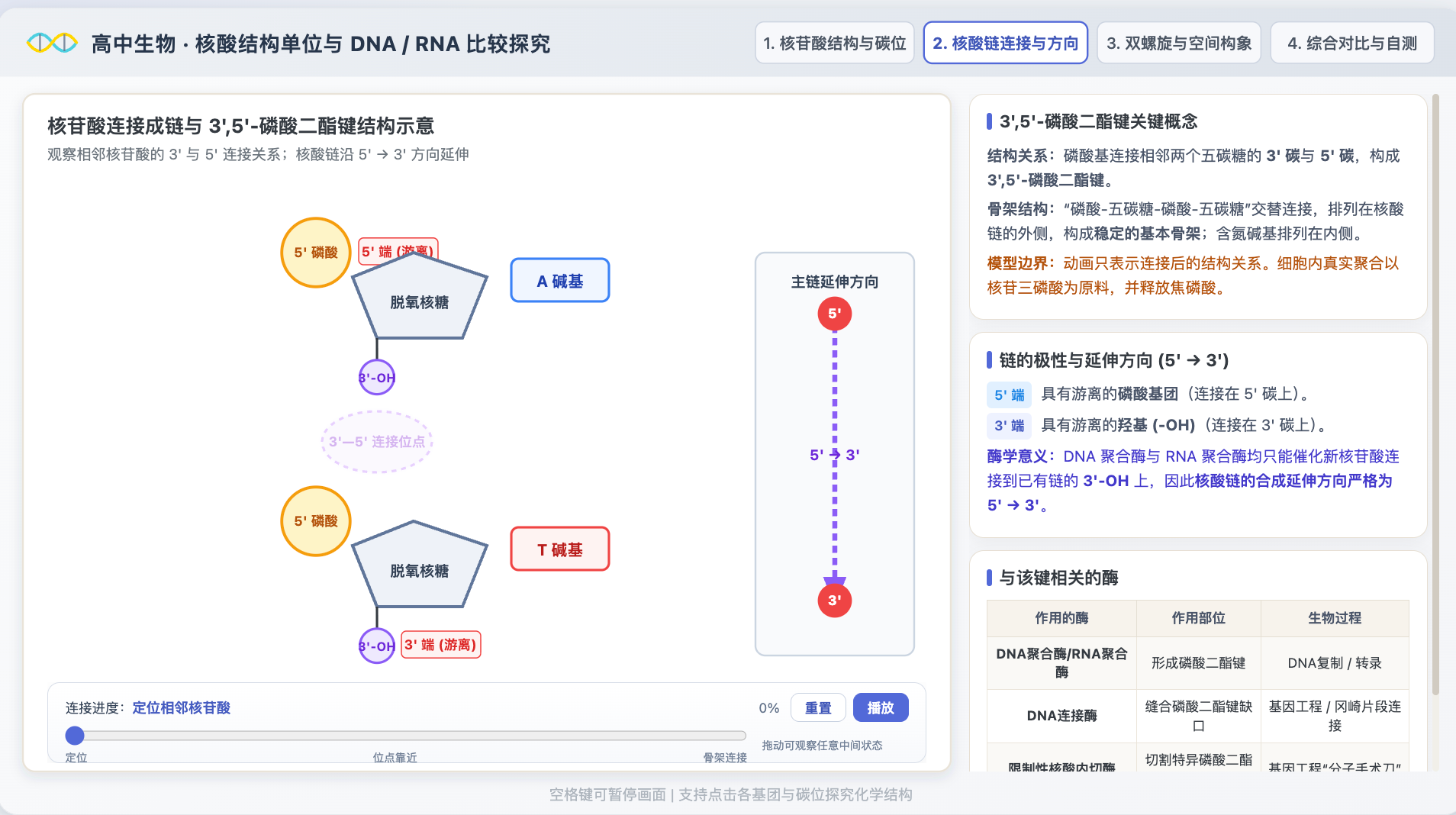 核酸结构单位与DNA RNA比较