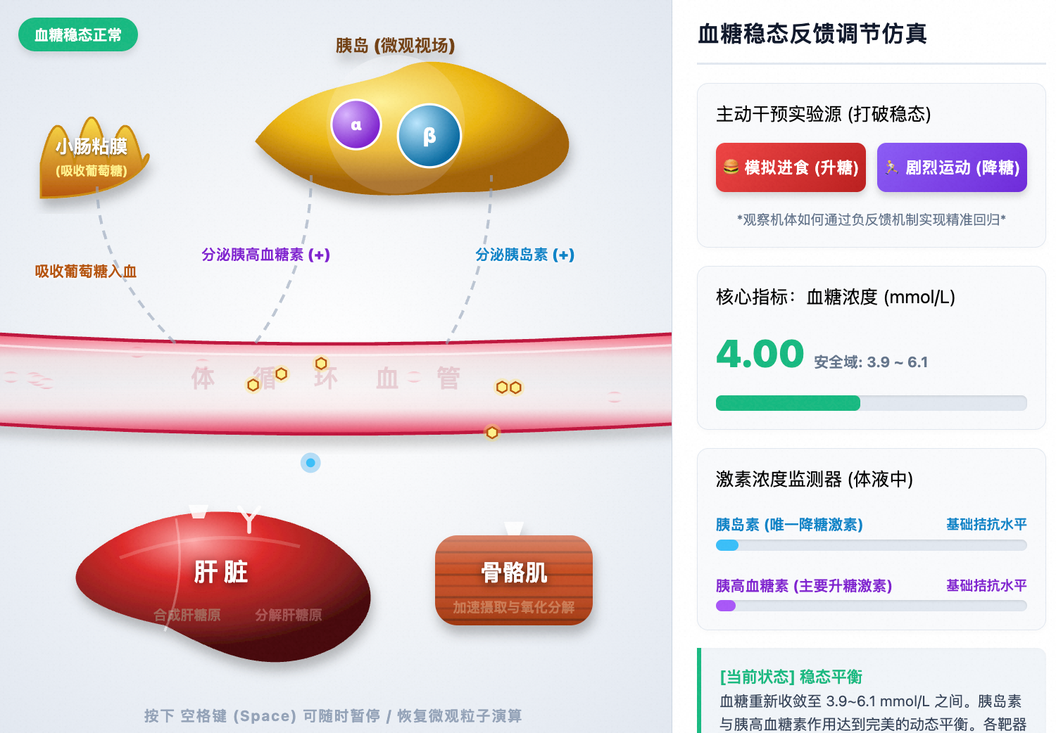 血糖浓度体液调节反馈环路