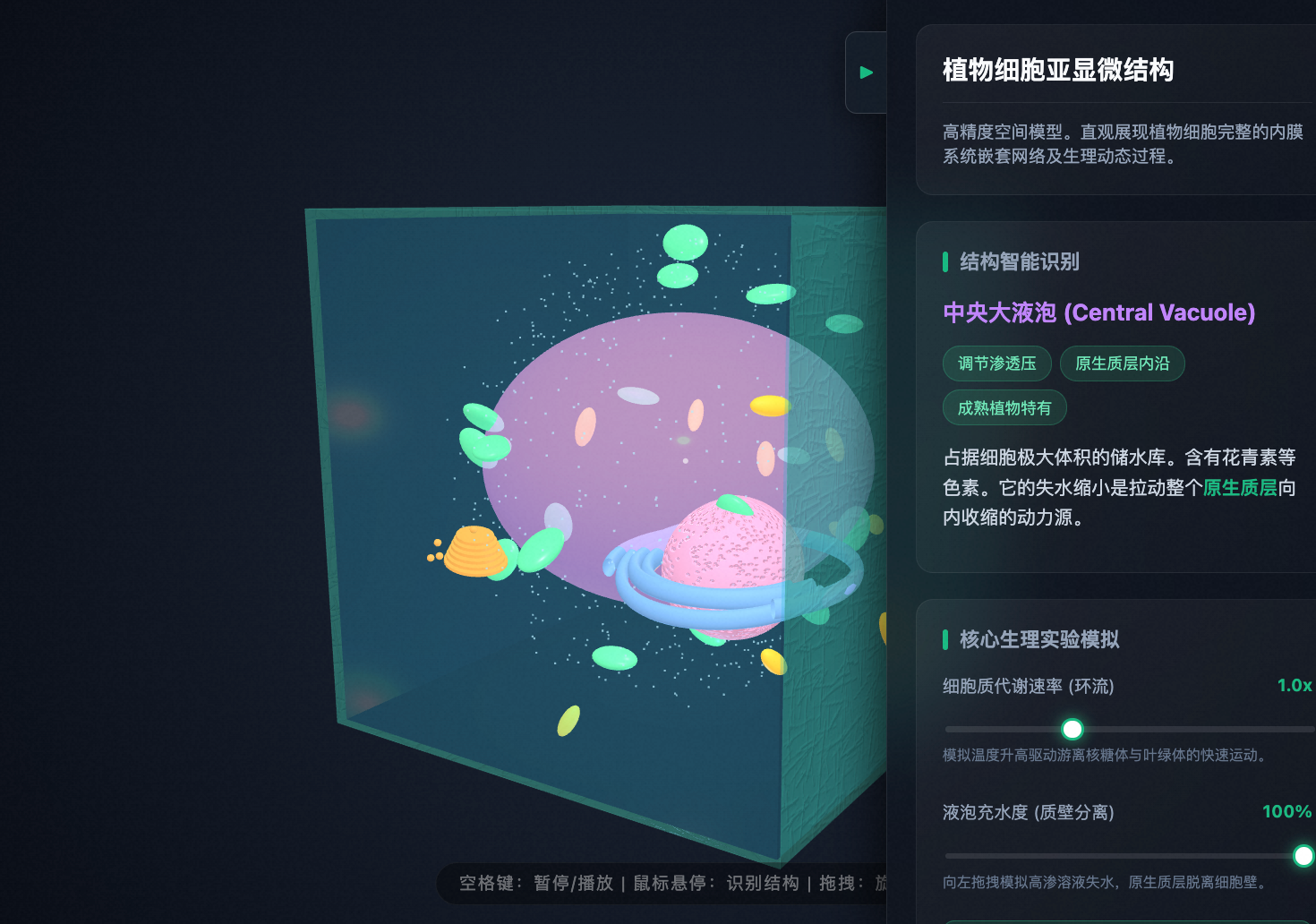 植物细胞亚显微空间结构
