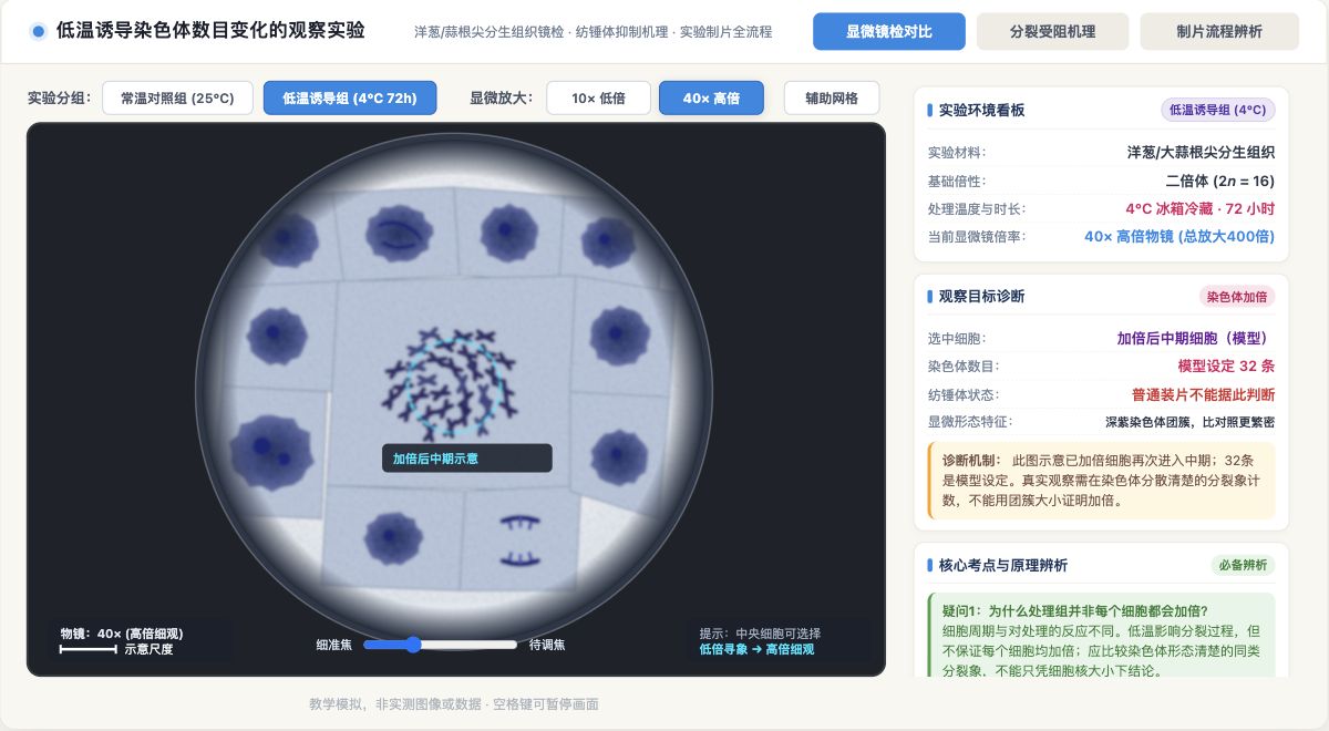 低温诱导染色体数目变化的观察实验