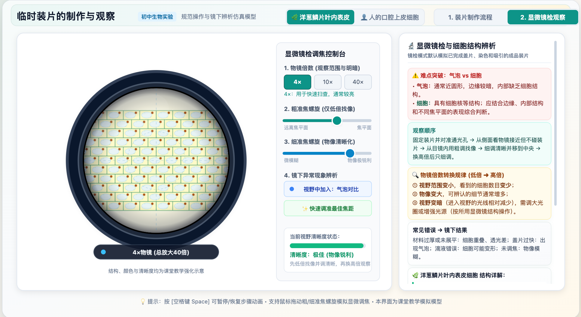 临时装片的制作与观察