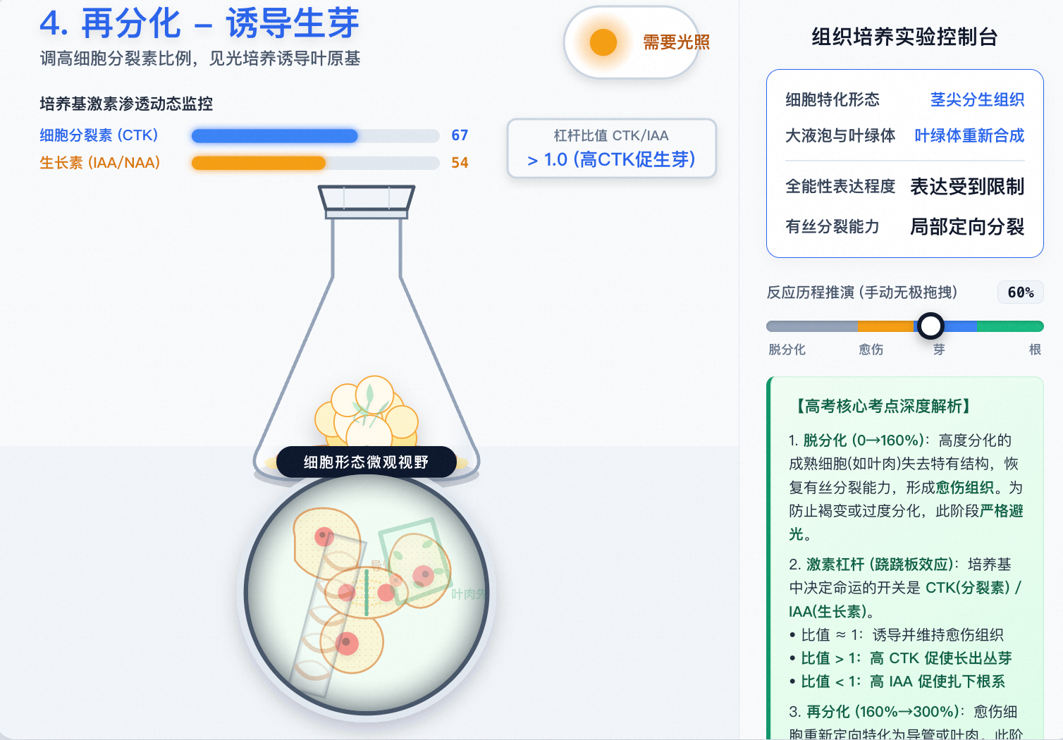 植物组织培养脱分化与再分化高拟真演推