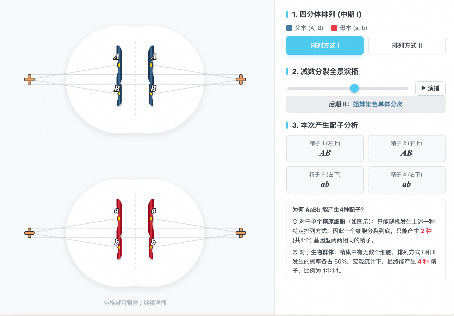 基因自由组合定律细胞学基础