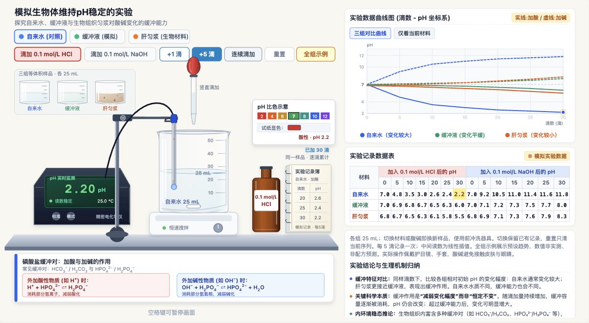 模拟生物体维持pH稳定的实验