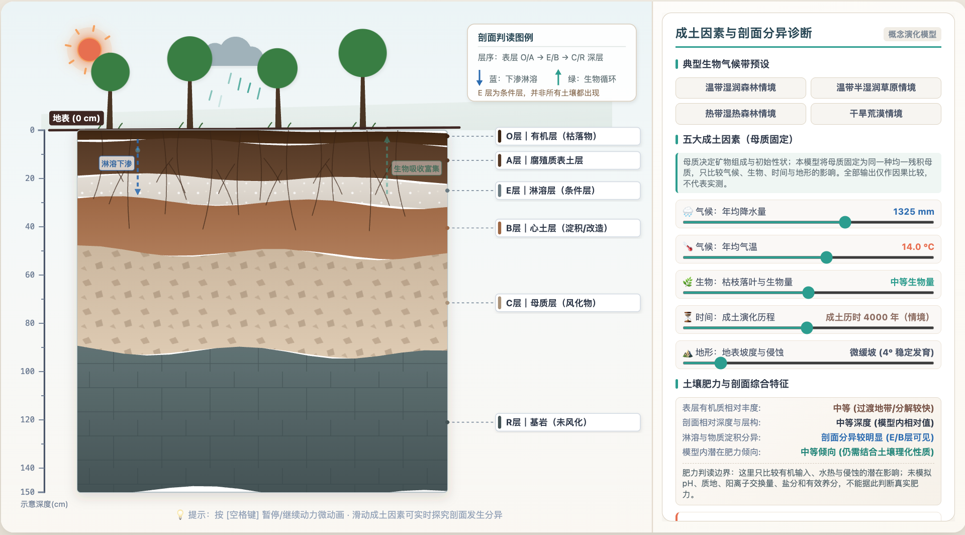 土壤剖面形成与肥力影响因素