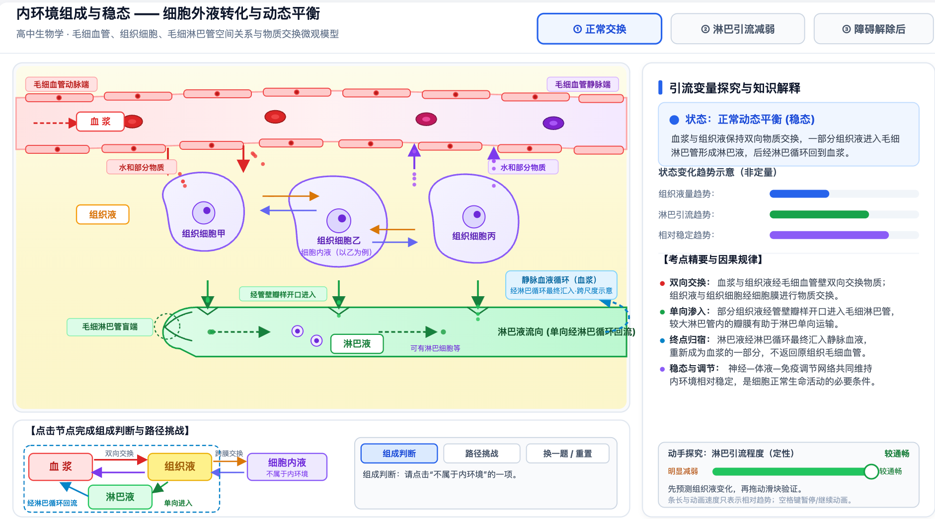 内环境组成与稳态(血浆/组织液/淋巴转化)